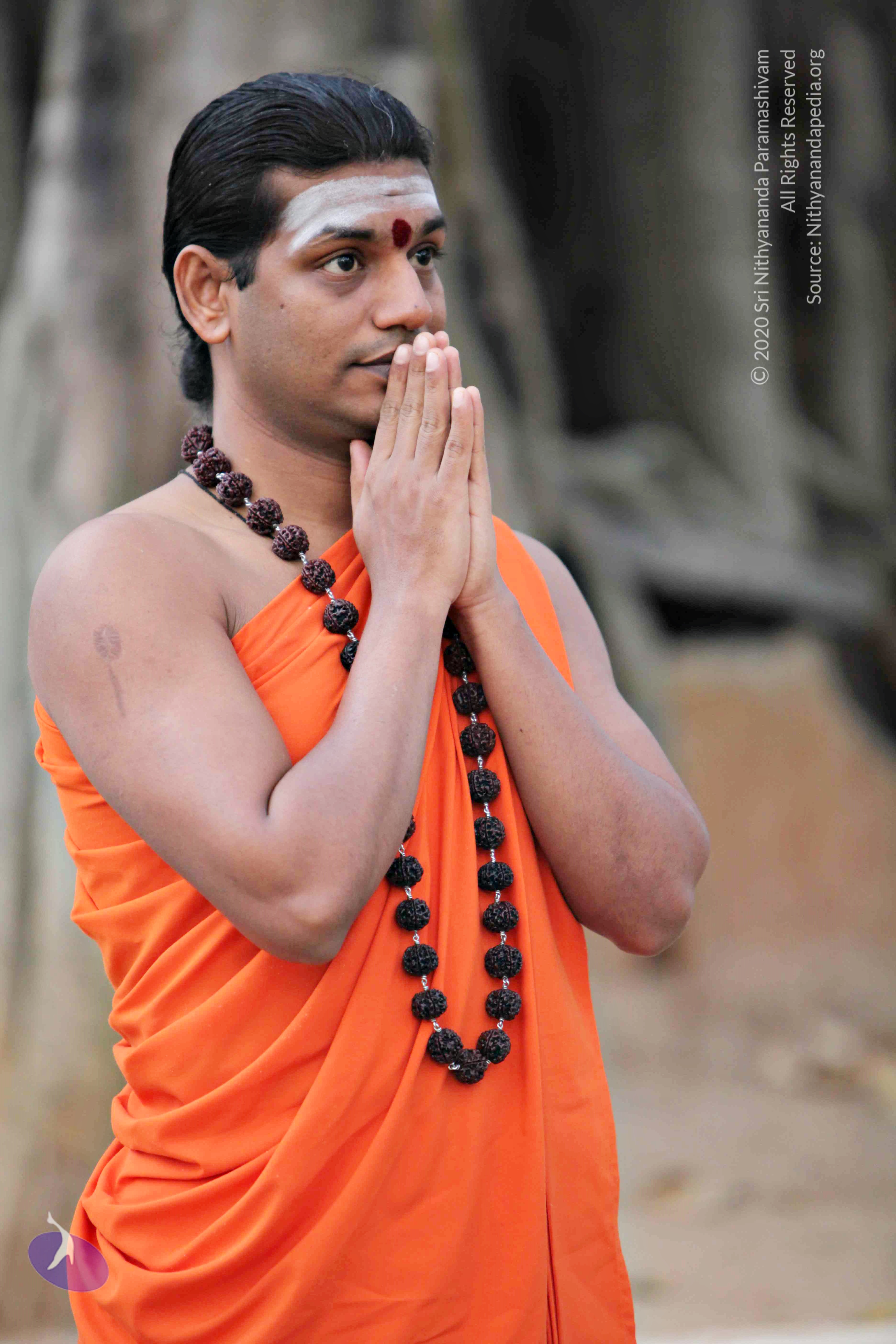 20110225_Photo_1024_IMG_0759_CMP_WM